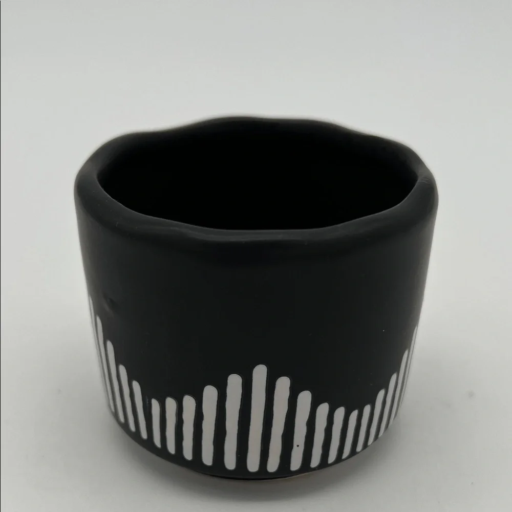 Black and White Ceramic Succulent Planter